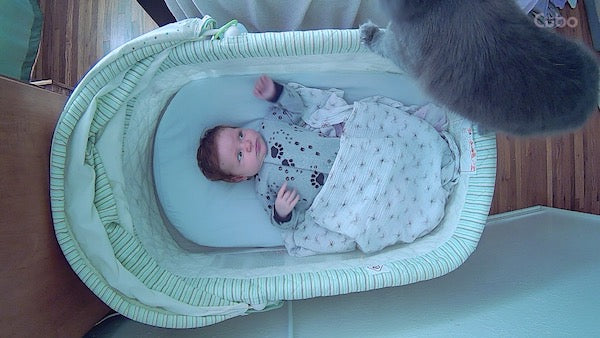 This Mummy Biologist Loved The Cubo AI Bird! | Cubo AI Review